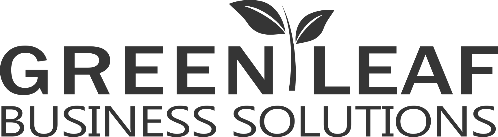 green-leaf-biz-solutions-grey